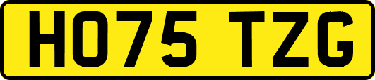 HO75TZG