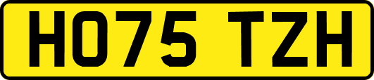 HO75TZH