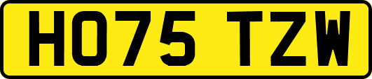 HO75TZW