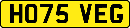 HO75VEG