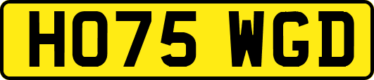 HO75WGD