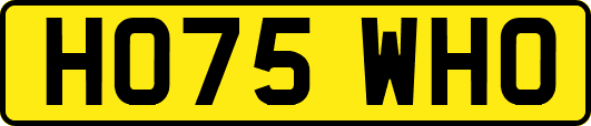 HO75WHO