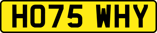 HO75WHY