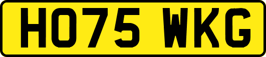 HO75WKG
