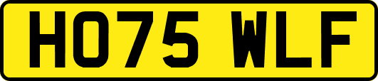HO75WLF
