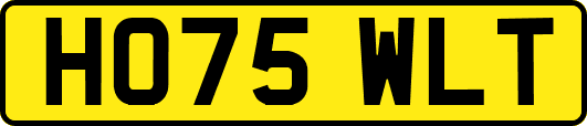 HO75WLT