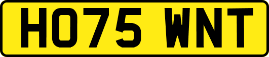 HO75WNT