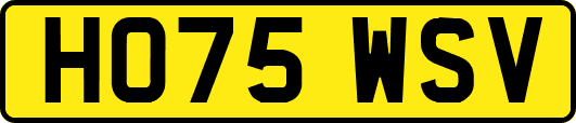 HO75WSV