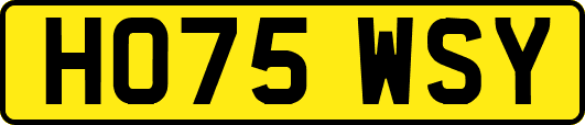 HO75WSY