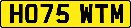 HO75WTM