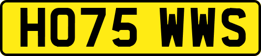 HO75WWS