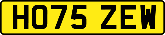 HO75ZEW