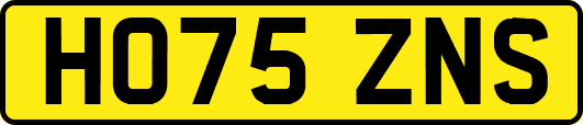 HO75ZNS