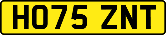 HO75ZNT