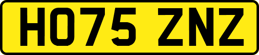 HO75ZNZ