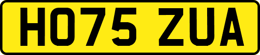 HO75ZUA