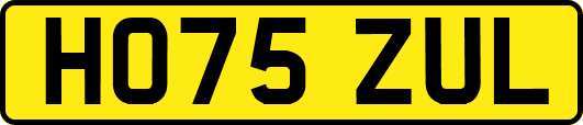 HO75ZUL