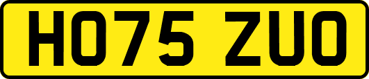 HO75ZUO