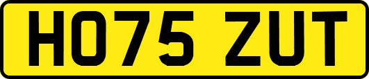 HO75ZUT