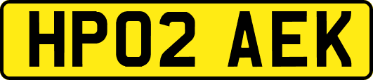 HP02AEK
