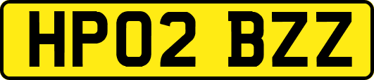 HP02BZZ