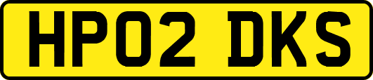 HP02DKS