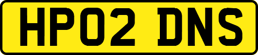 HP02DNS