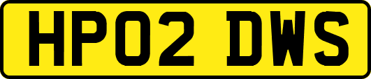 HP02DWS