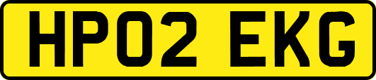 HP02EKG