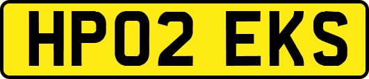 HP02EKS
