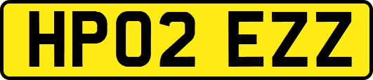 HP02EZZ