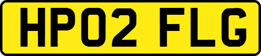 HP02FLG