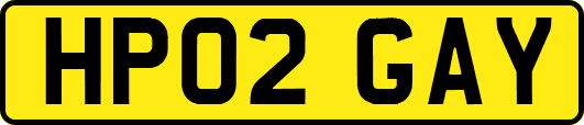 HP02GAY