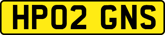 HP02GNS