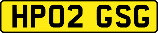 HP02GSG