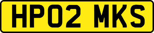 HP02MKS