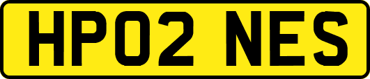 HP02NES