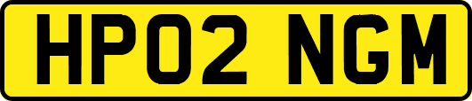 HP02NGM