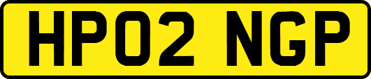 HP02NGP