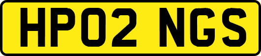 HP02NGS