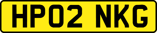 HP02NKG