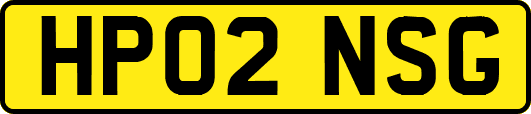 HP02NSG