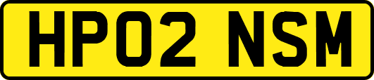 HP02NSM
