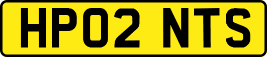 HP02NTS