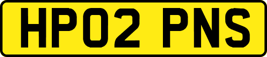 HP02PNS