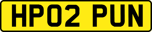 HP02PUN