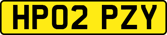 HP02PZY