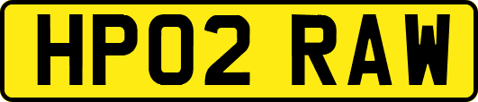 HP02RAW