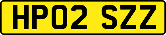 HP02SZZ