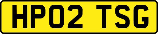 HP02TSG